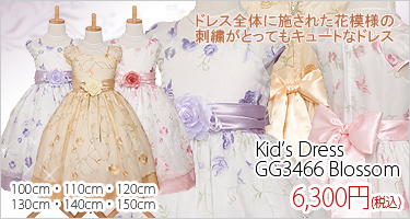 �Ҷ��ɥ쥹��GG3466���֥��å��ࡡ��������